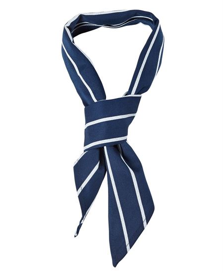 JB's  CHEFS SCARF