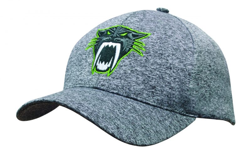 Cationic Sports Jersey Cap