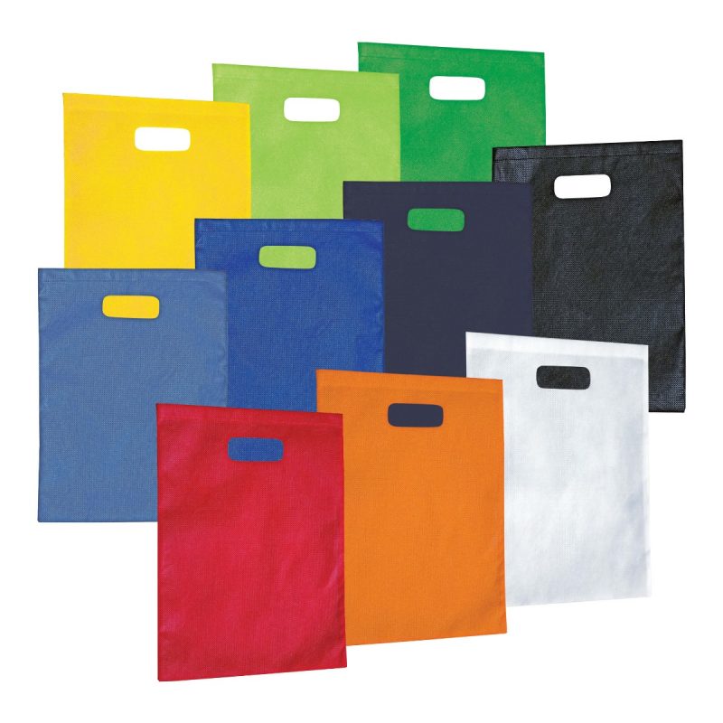 Non-Woven Gift Bag - Large Non-Woven Gift Bag - Large