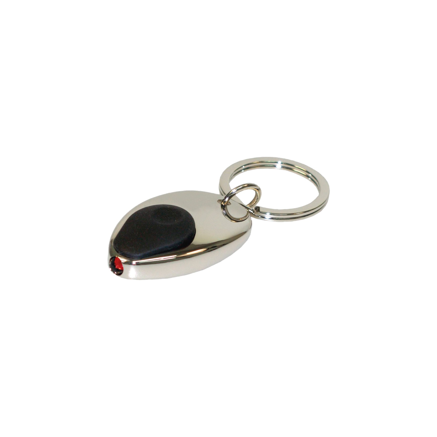 Keyring with Torch
