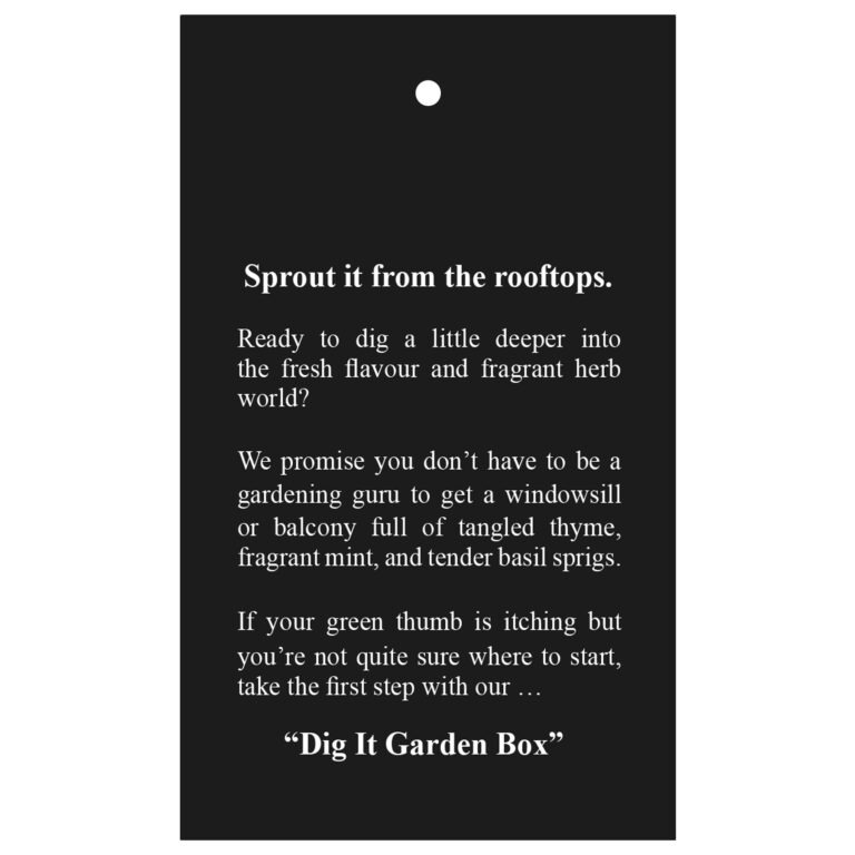 Dig It Garden Box - Image 2