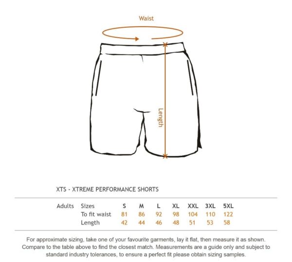 Performance Shorts - Image 2