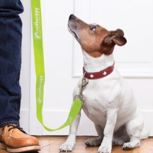 Trek Dog Leash Trek Dog Leash