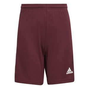Squadra Shorts - Team Maroon 2/White Squadra Shorts - Team Maroon 2/White