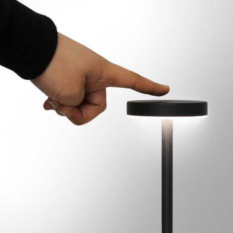 Nouveau Rechargeable Table Lamp Nouveau Rechargeable Table Lamp