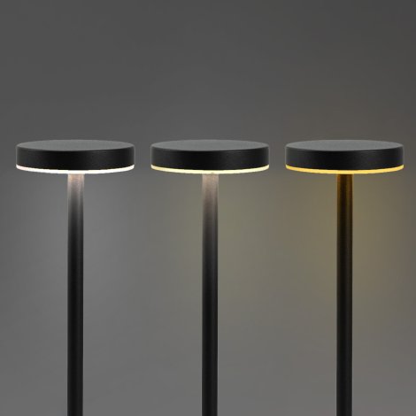 Nouveau Rechargeable Table Lamp Nouveau Rechargeable Table Lamp