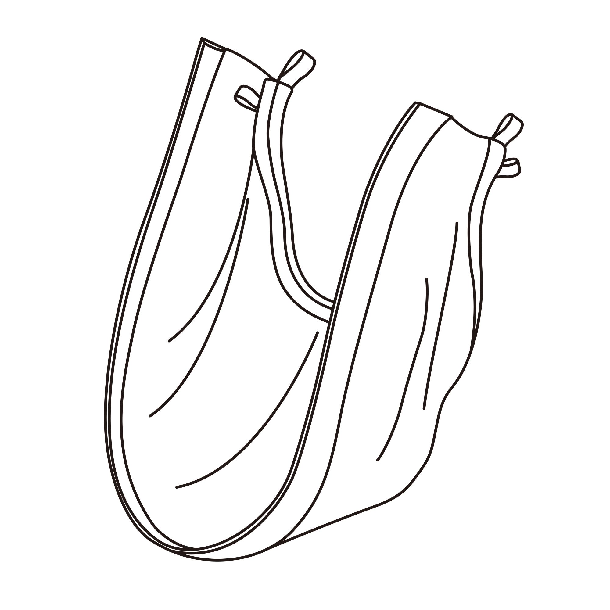 Vanguard G4 Standard Face Seal Vanguard G4 Standard Face Seal
