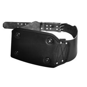 Vanguard G4 PAPR FR Belt Cushion Vanguard G4 PAPR FR Belt Cushion